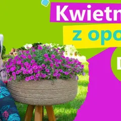 Najlepsze narzędzia i techniki cięcia opon na kwietniki: praktyczny poradnik