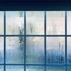 Mokre okna rano? Poznaj przyczyny i raz na zawsze rozwiąż problem!