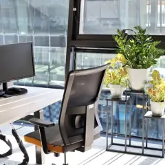 Rośliny do biura: 7 inspiracji na zieloną aranżację