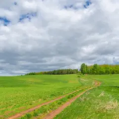 Ile kosztuje ar działki budowlanej na wsi?