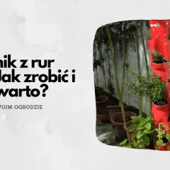 Jak zrobić kwietnik z rury PCV w 6 prostych krokach: poradnik dla każdego