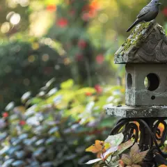 Ozdoby ogrodowe z kamienia i metalu: 8 inspiracji