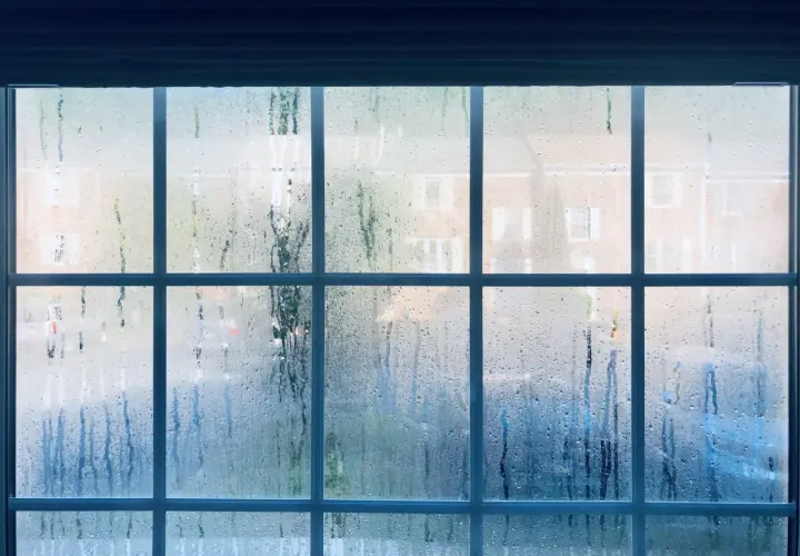 Mokre okna rano? Poznaj przyczyny i raz na zawsze rozwiąż problem!
