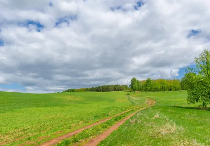 Ile kosztuje ar działki budowlanej na wsi?