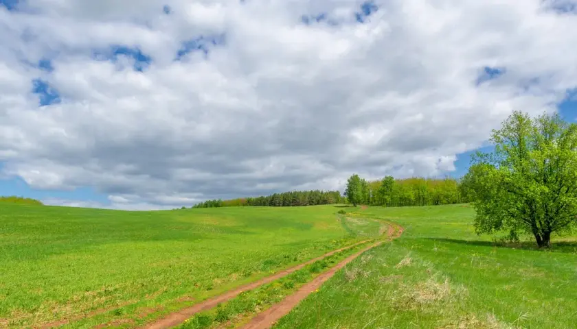 Ile kosztuje ar działki budowlanej na wsi?