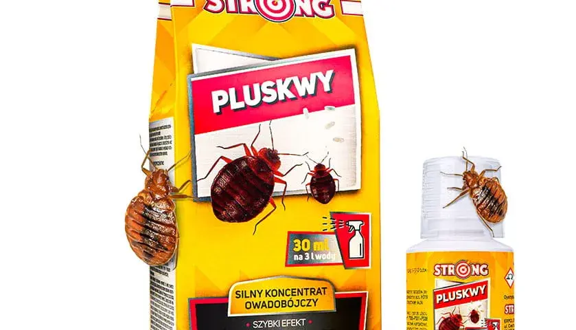Skuteczne strategie zwalczania pluskiew — poznaj nowoczesne metody, które najlepiej się sprawdzają