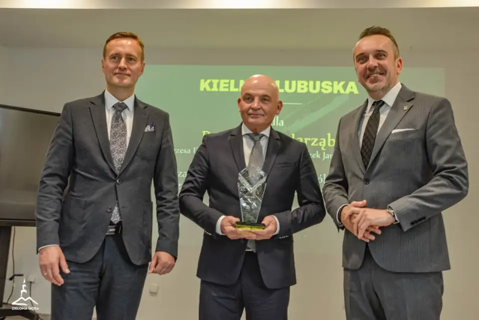 Ranking studiów projektowych w Zielonej Górze